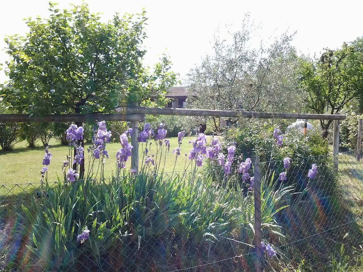 Agriturismo B&B Cascina Reciago Desenzano del Garda Alloggio per agriturismo