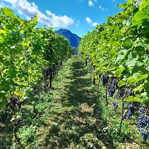 Cascina Teresina Alloggio per agriturismo